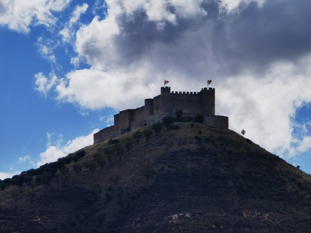 ALBARRACIN-16