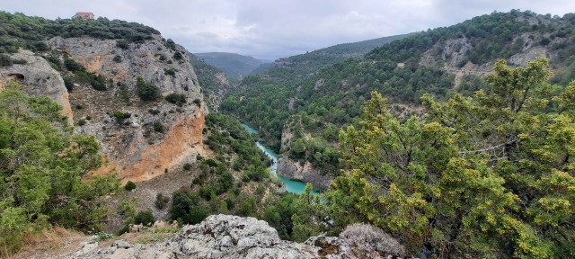 ALBARRACIN-181