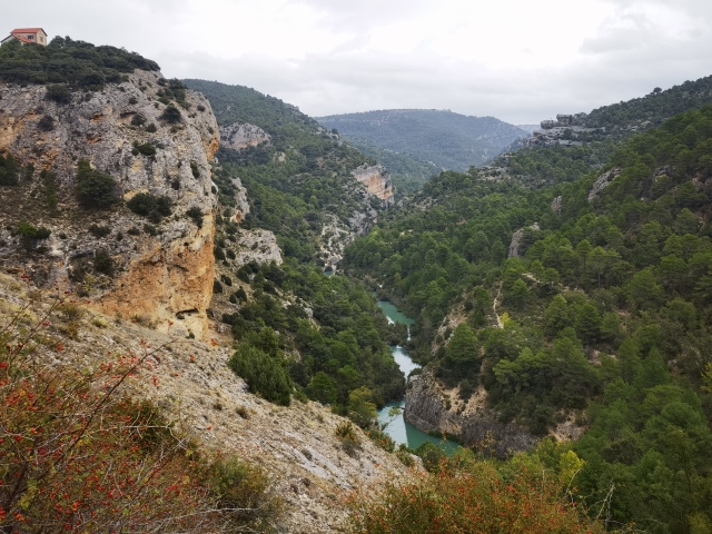 ALBARRACIN-197