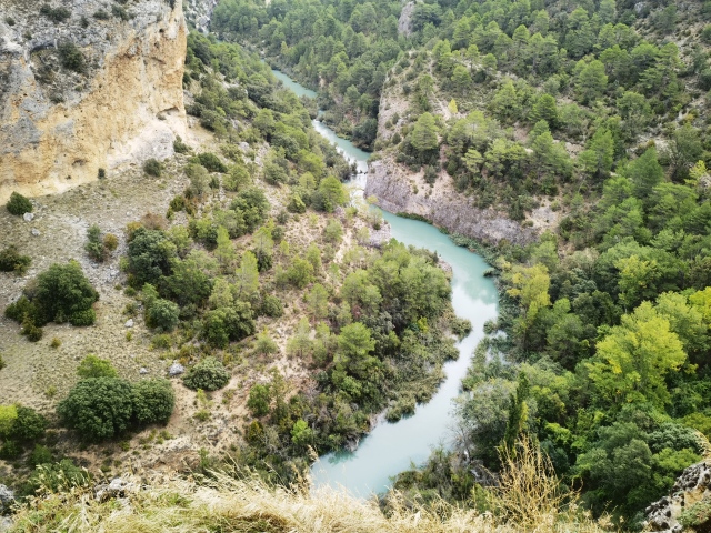 ALBARRACIN-199