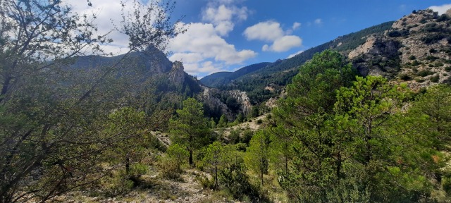 ALBARRACIN-75