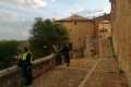 AYLLON-23