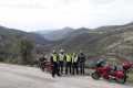 AYLLON-44