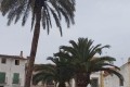 CORIA-4