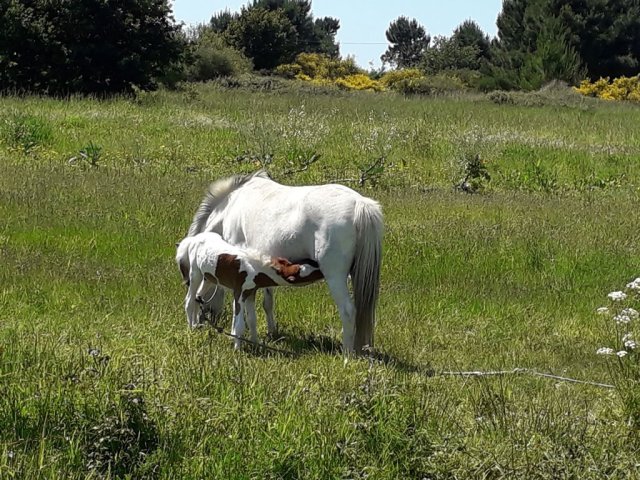 FISTERRA2019 (45)