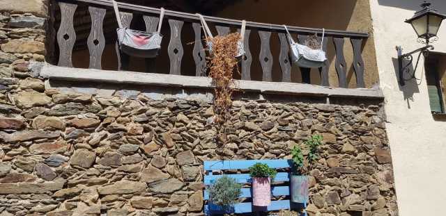 GRANADILLA-16