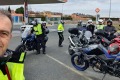 NAVARREVISCA-2