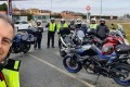 NAVARREVISCA-3