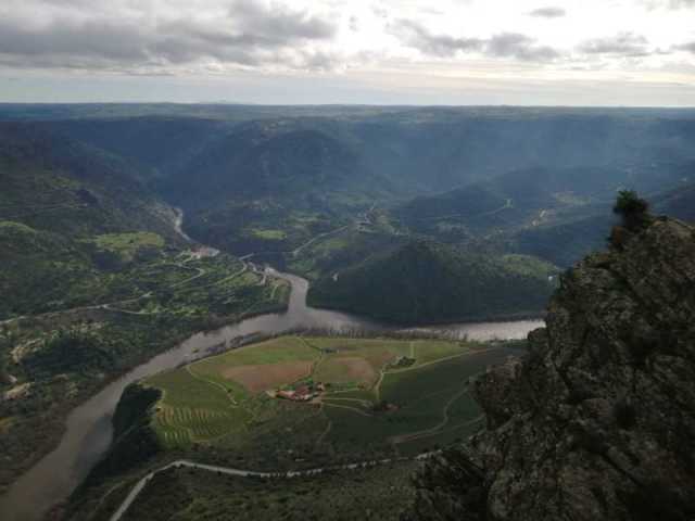 PENEDO-10