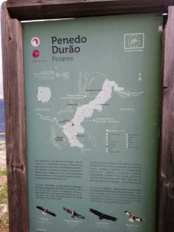 PENEDO-5