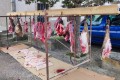 PEROMINGO-5