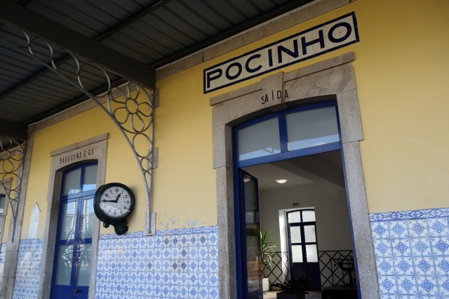 POCINHO-1