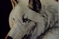 LOBO-2021-1
