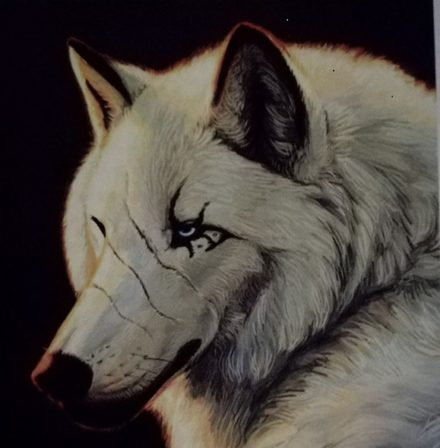 PROYECTO LOBO calendario fotográfico